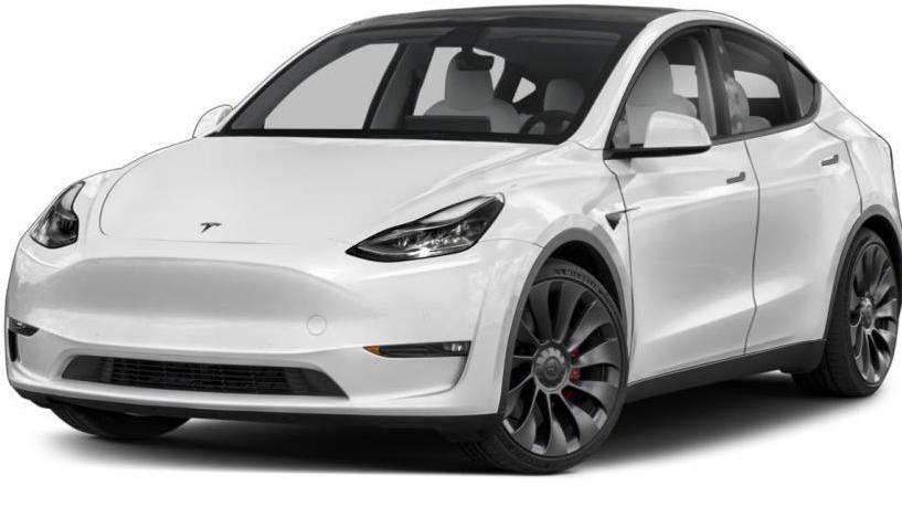 TESLA MODEL Y 2021 5YJYGDEE5MF117204 image